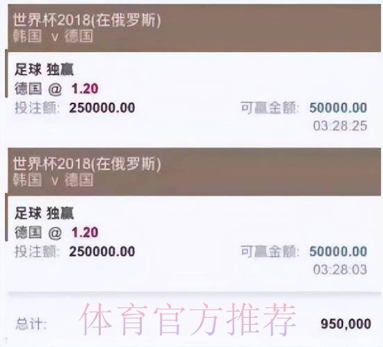 最佳世界杯投注平台推荐：精选清单以及详细指南